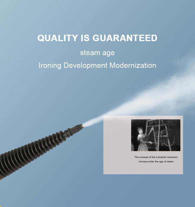 DF - Steam Cleaner (DF-A001)